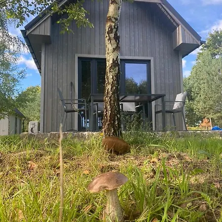 Domek Las Tatil Evi *